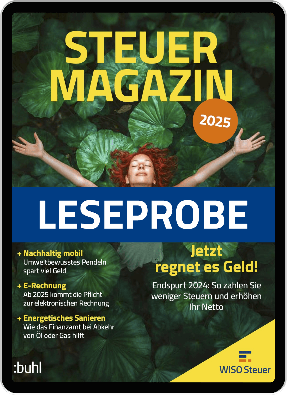 Steuer-Magazin lesen