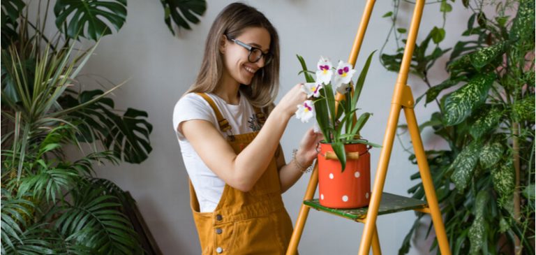 Gartenarbeit von der Steuer absetzen? Wie? > Hier lesen